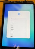 Apple iPad Pro 11" 4. Gen (A2761) Display mit kleinem Defekt