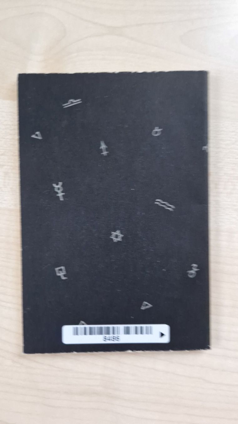 Libri: Hans Pfitzner / Das Herz / Taschenbüchlein – Usato da Malters venduto da page02 1