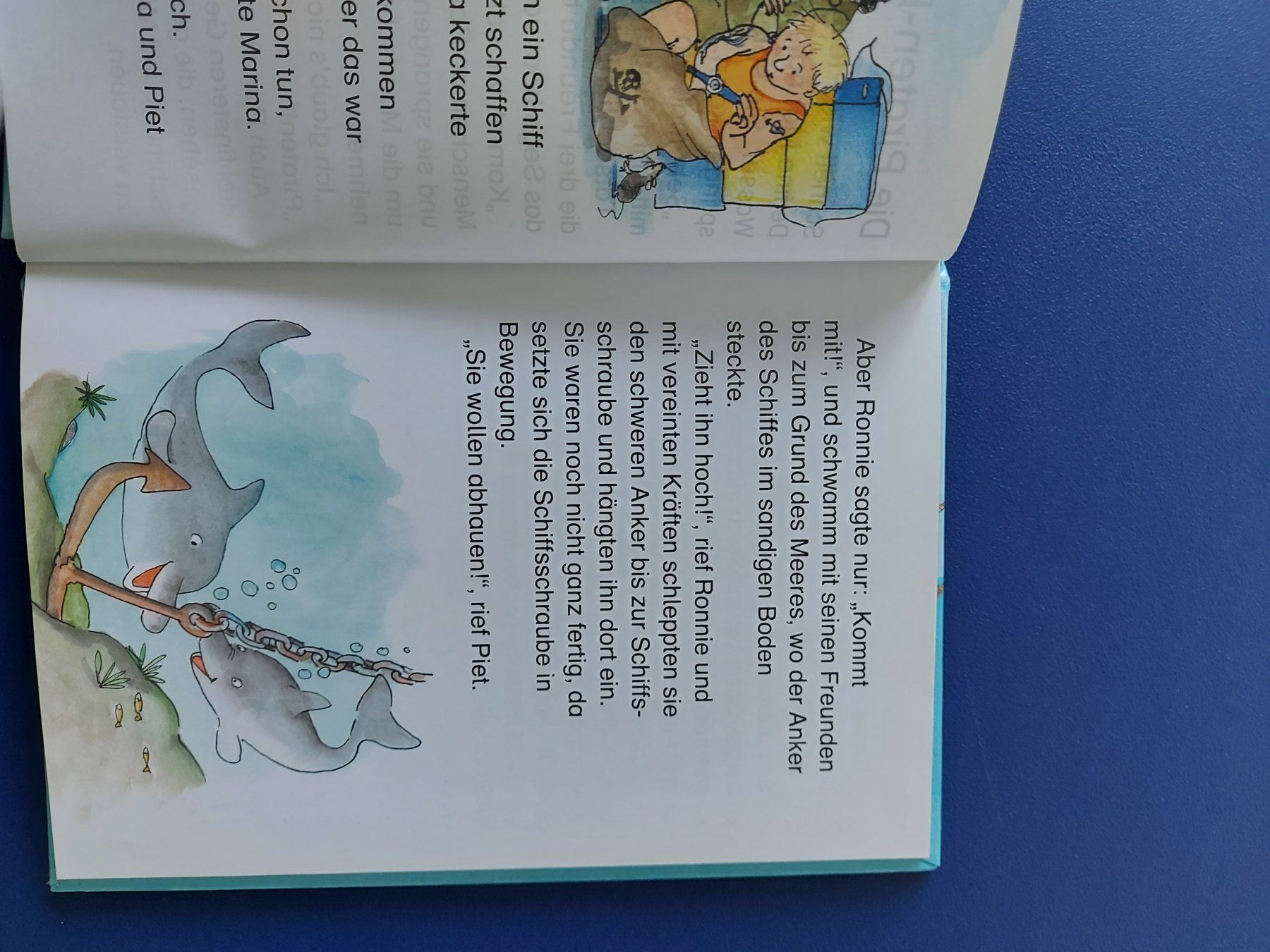Bücher: Kinderbuch Leselöwen Delfingeschichten – Gebraucht aus VUADENS von momy 3