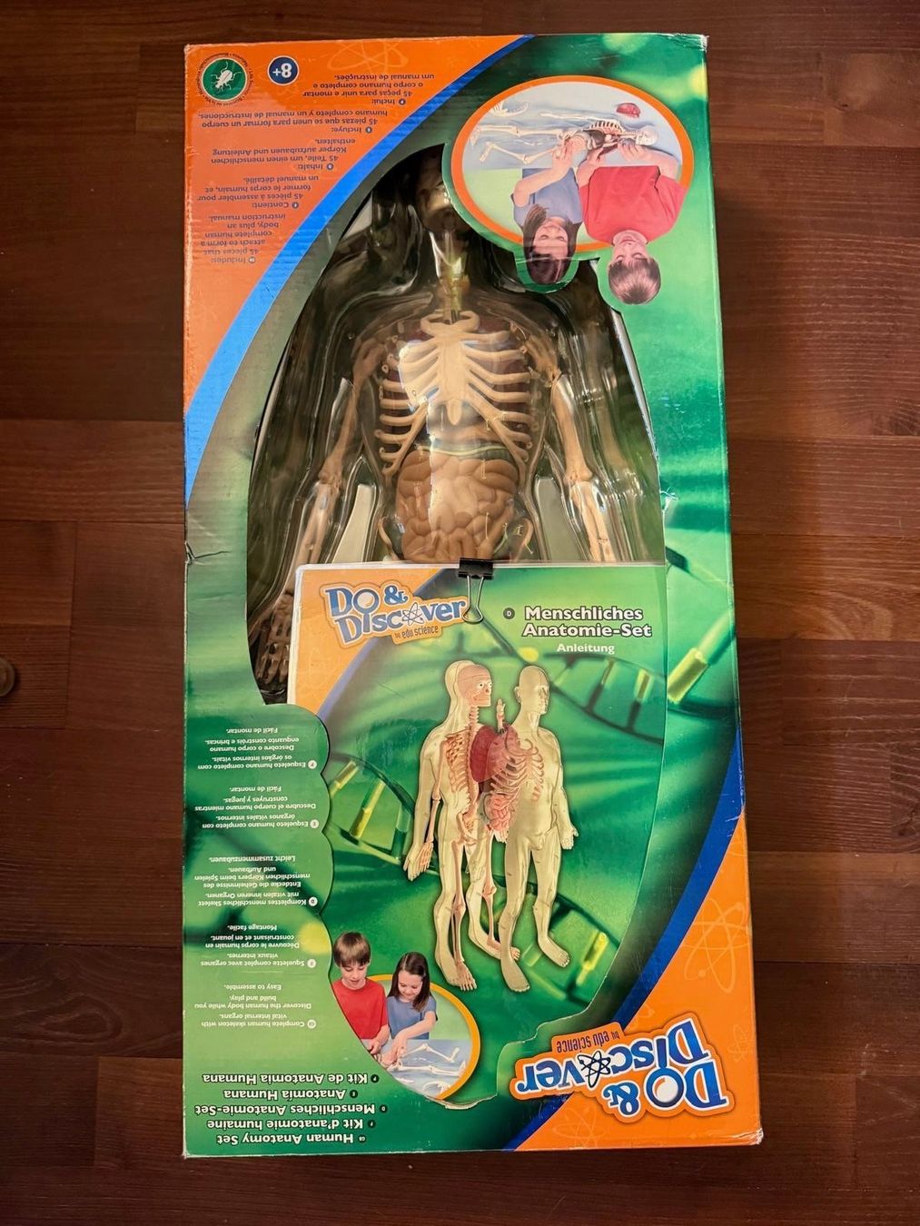 Giocattoli: Do&Discover Anatomie Mensch Modell 45 Teile Originalverpackt – Nuovo (secondo la descrizione) da Staufen venduto da MARINTSUM 3