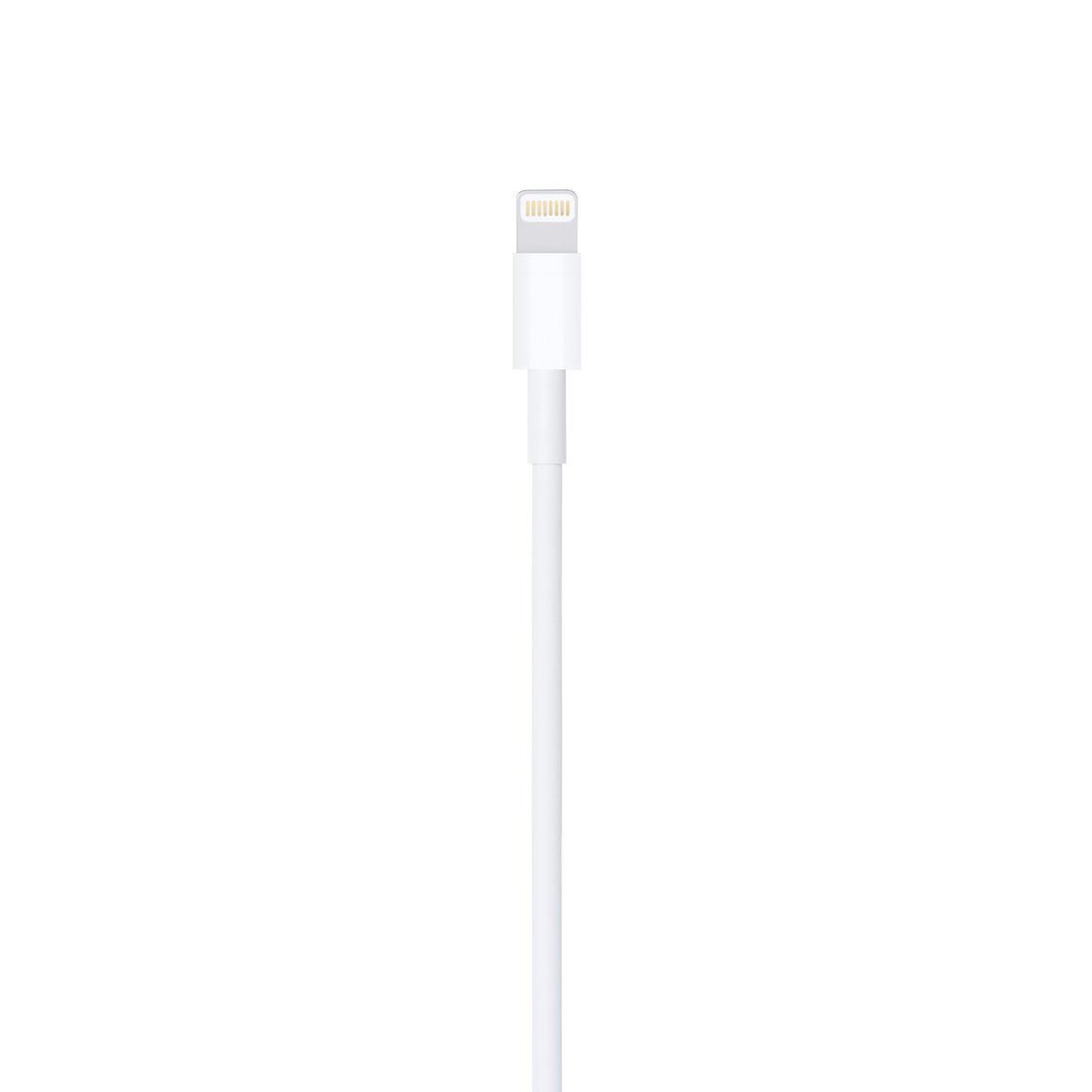 Apple Cavi: Lightning auf USB Kabel (1 m) – Usato da Ettingen venduto da Ralakeet 2