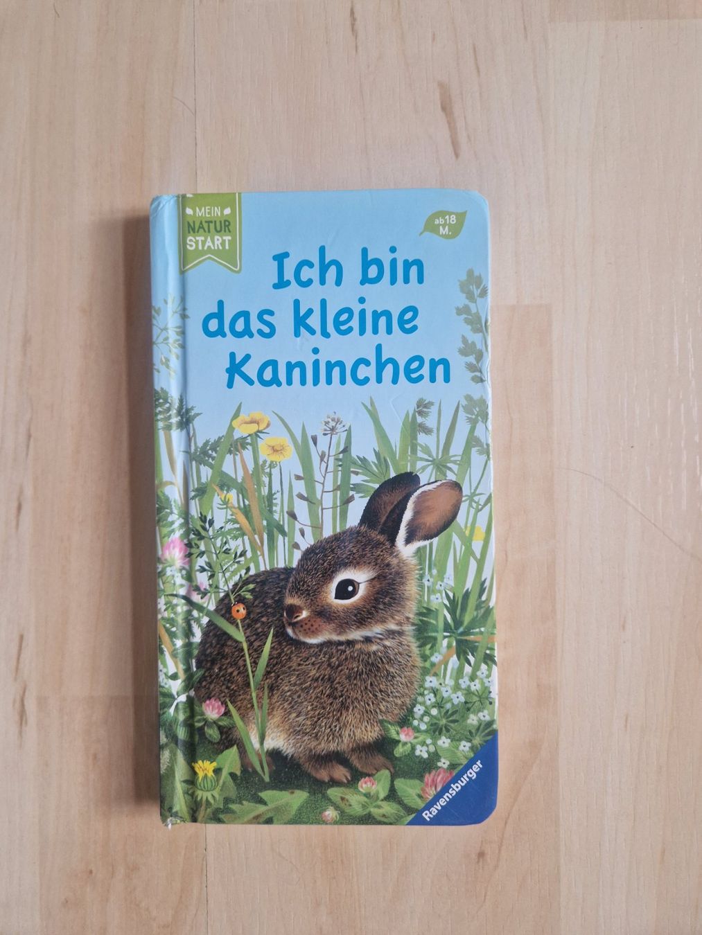 Libri: Ich bin das kleine Kaninchen – Usato da Balterswil venduto da Little-nemo