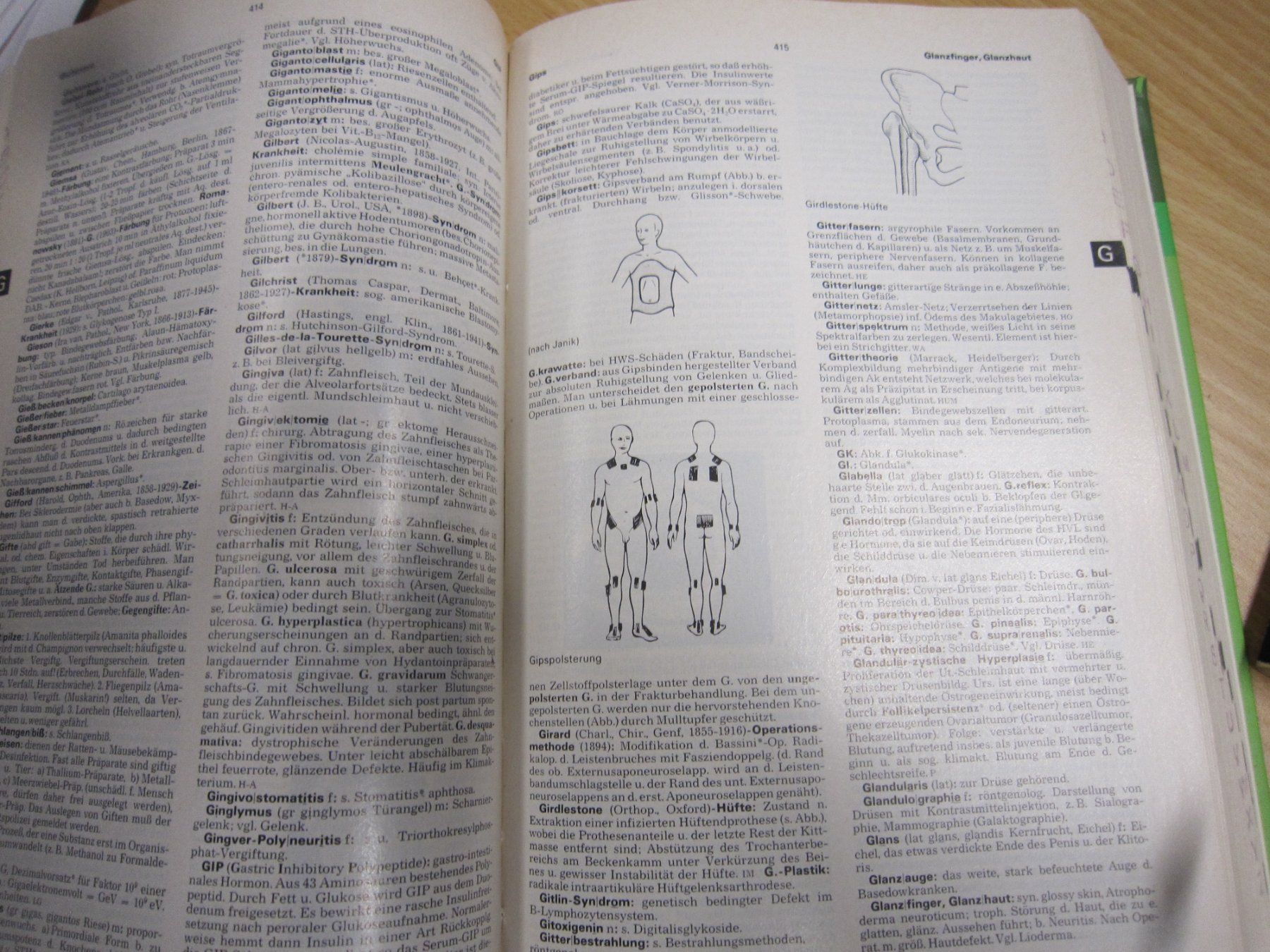 Libri: Altes Pschyrembel Wörterbuch – Usato da Gordola venduto da Polentaefung 1