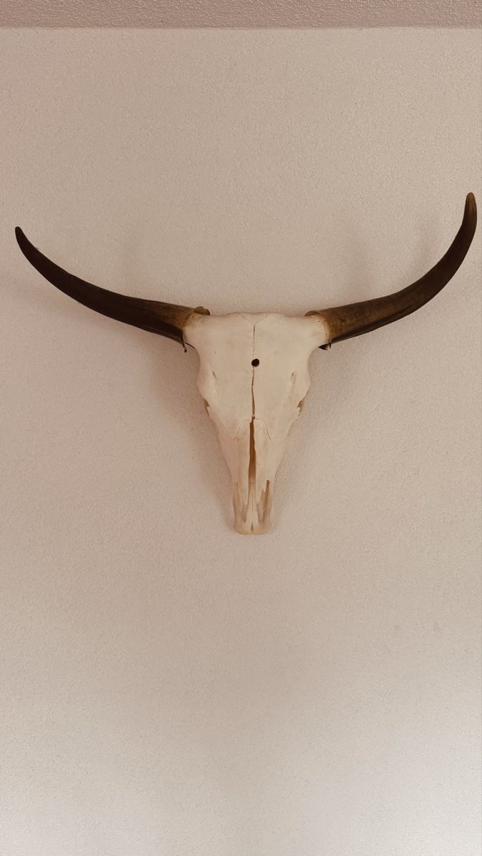 Tutte le decorazioni: Real Swiss Yak Skull – Usato da Greng venduto da mjg_67wd