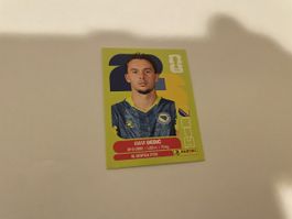 FIFA WM 2026 Amar Dedic BIH 3