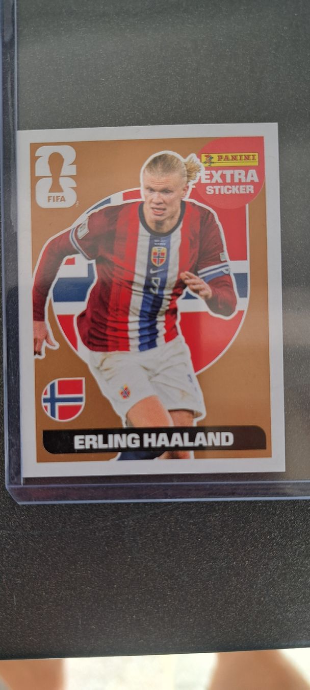 Panini Carte collezionabili: Erling Haaland Panini Extra Sticker – Nuovo (secondo la descrizione) da rupperswil venduto da karate74