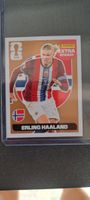 Erling Haaland Panini Extra Sticker