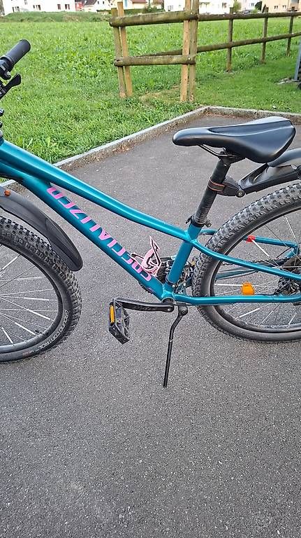Specialized Biciclette: Mountain BIke Specialized – Usato da Altdorf UR venduto da Marco976 4