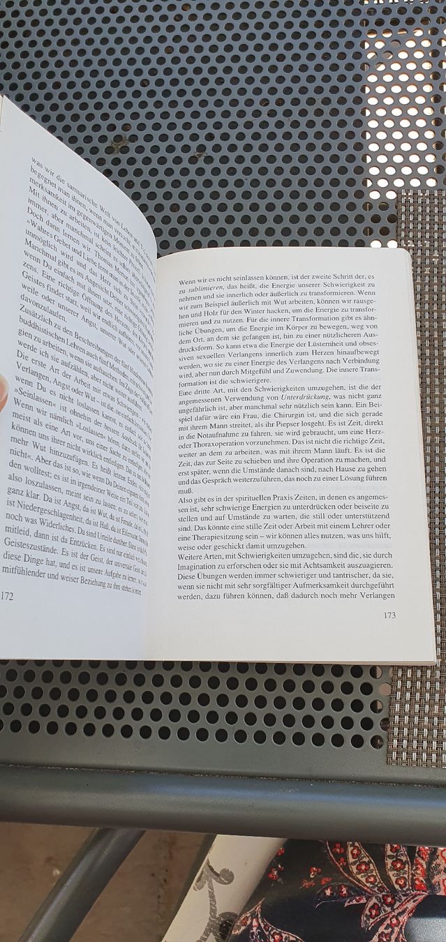 Livres: Spirituelle Krisen – D'occasion à Hagendorn par happyclothing 3