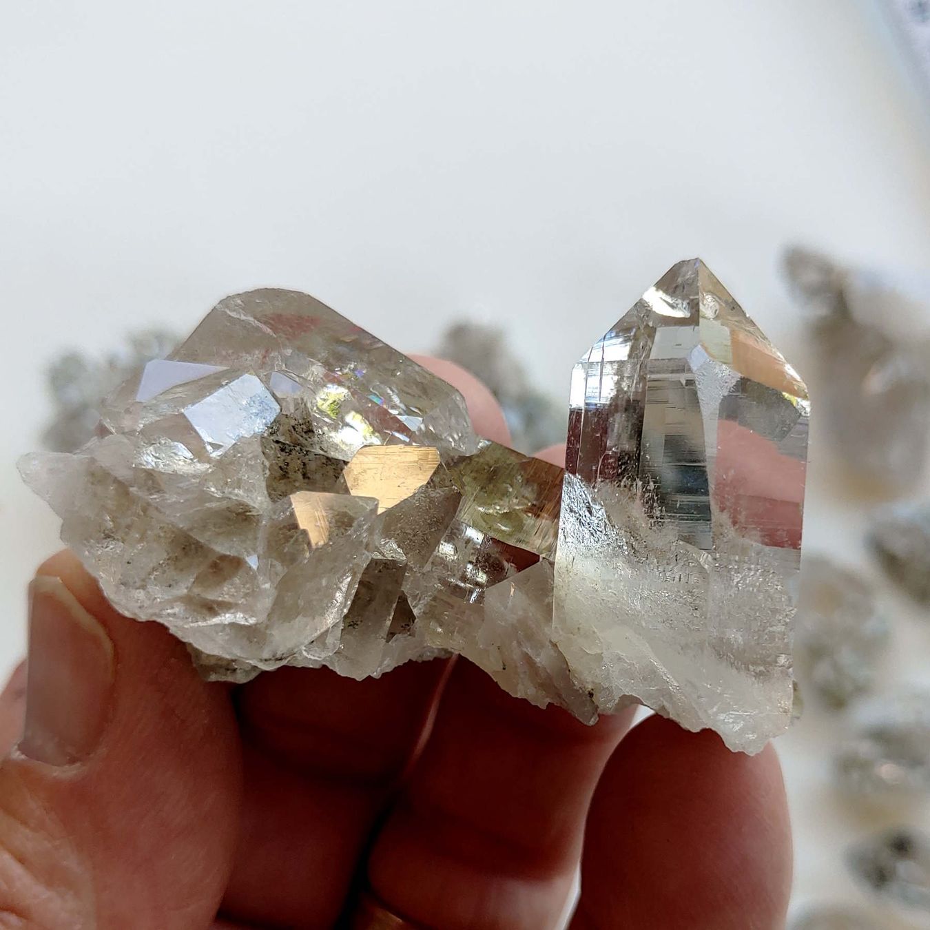 Minerali & Pietre curative: Stücklein - aus Eigenfund im Kt. Uri – Nuovo e nell'imballaggio originale da Steinhausen venduto da Kristall022 4