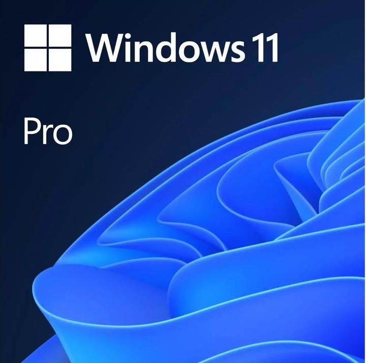 Microsoft Software: Microsoft Windows 11 Pro – Usato da Balgach venduto da GZ-Tech