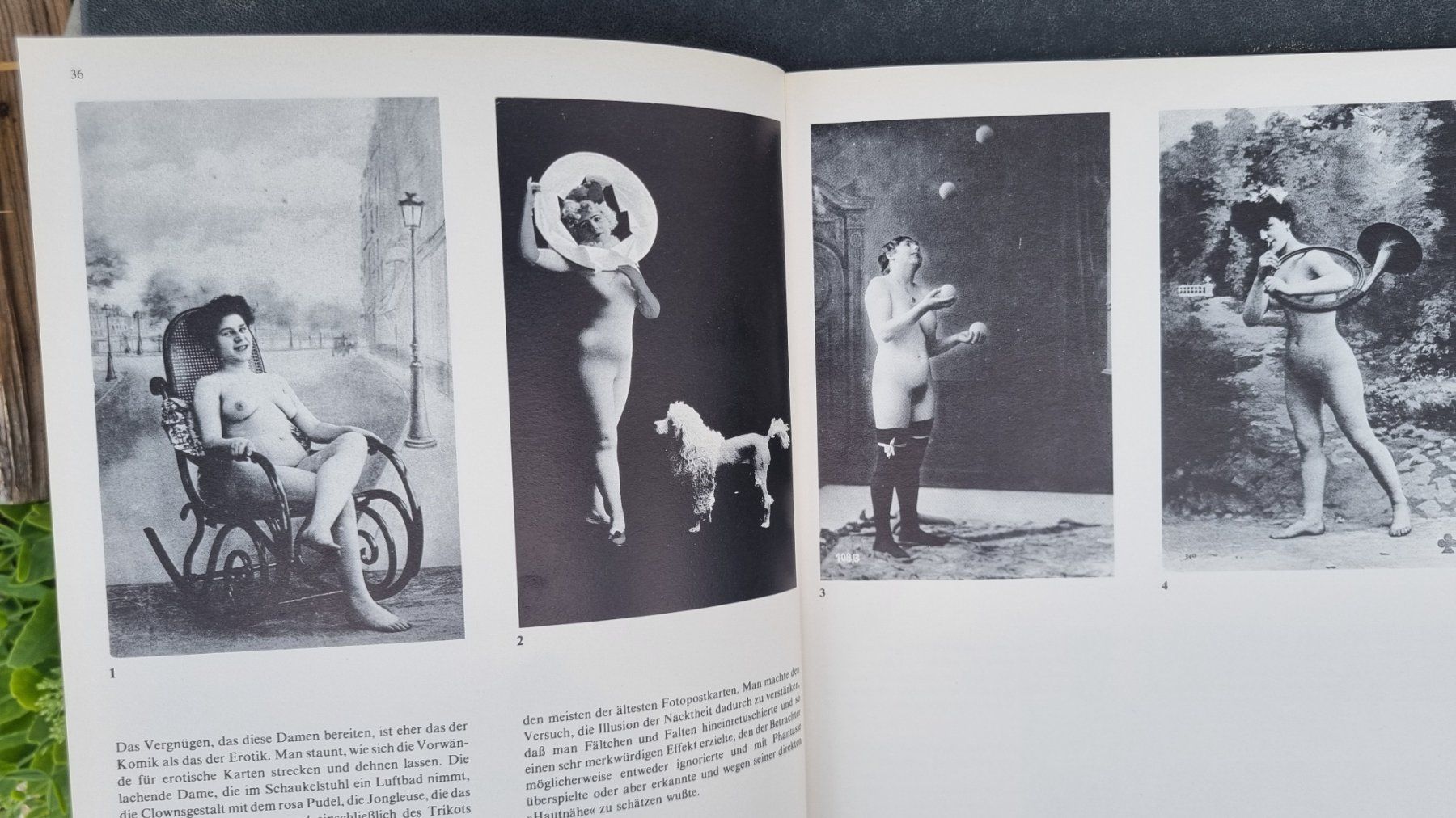 Livres: Buch Erotische Postkarten studio dumont – D'occasion à Bözberg par heinz-d 2
