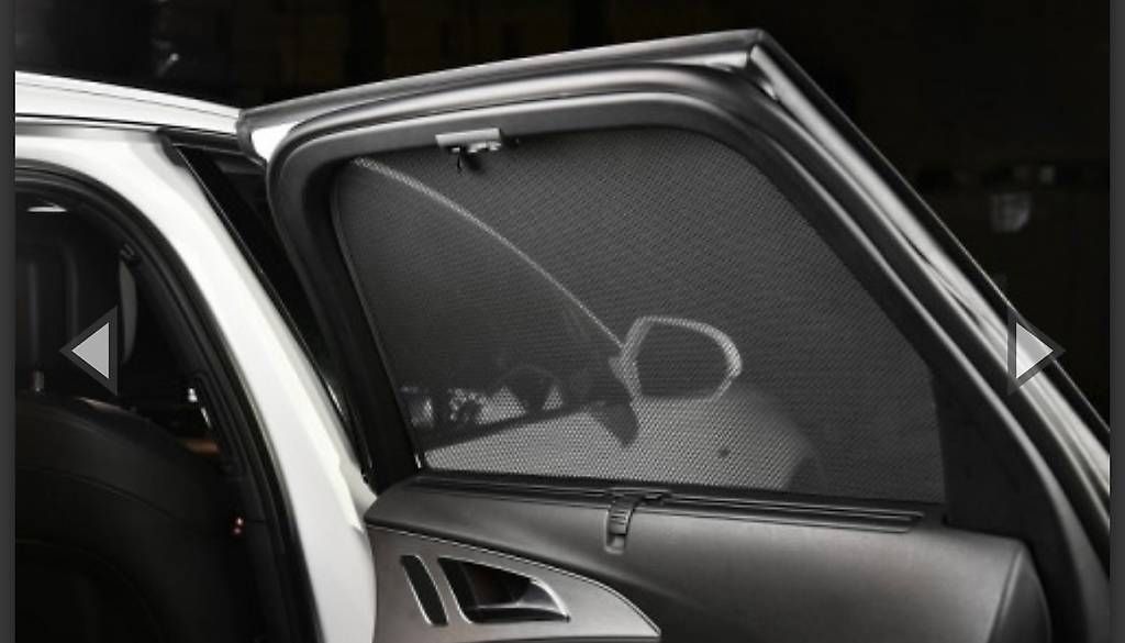 Automobili: Sonnenschutz Skoda Kodiaq – Usato da Schindellegi venduto da Cschuetz