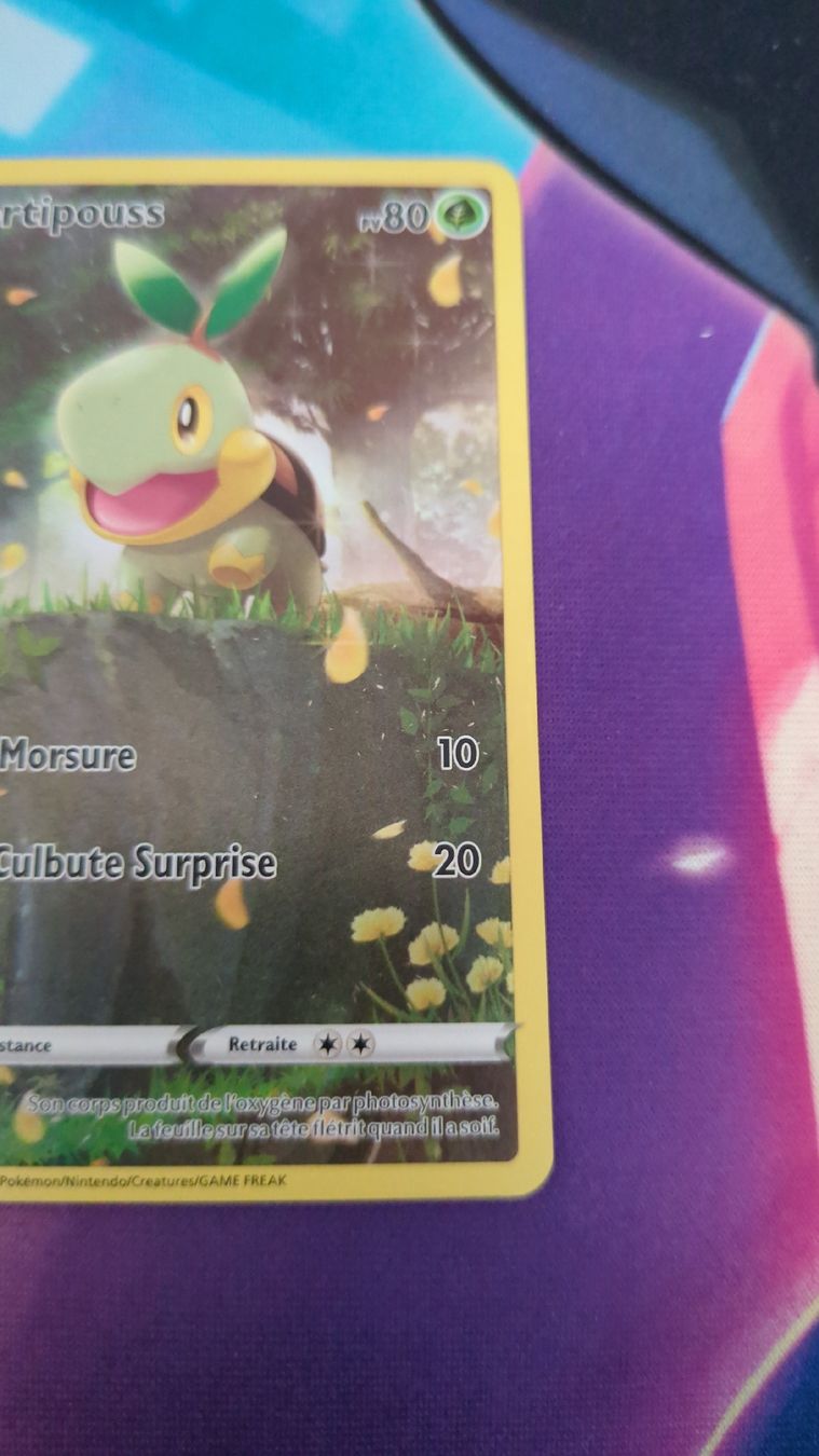 Pokémon Carte collezionabili: Carte Tortipouss - Zenith Supreme – Usato da Genève venduto da ims1 5