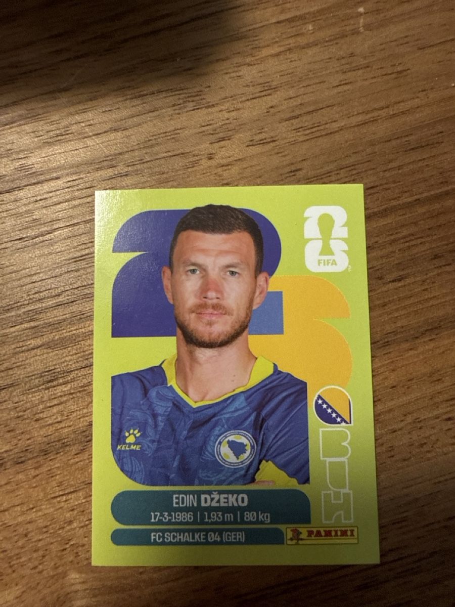 Panini Cartes à collectionner: Panini Fifa BIH 18 – D'occasion à Allschwil par Japollo