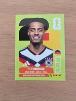 Panini Fifa GER 12
