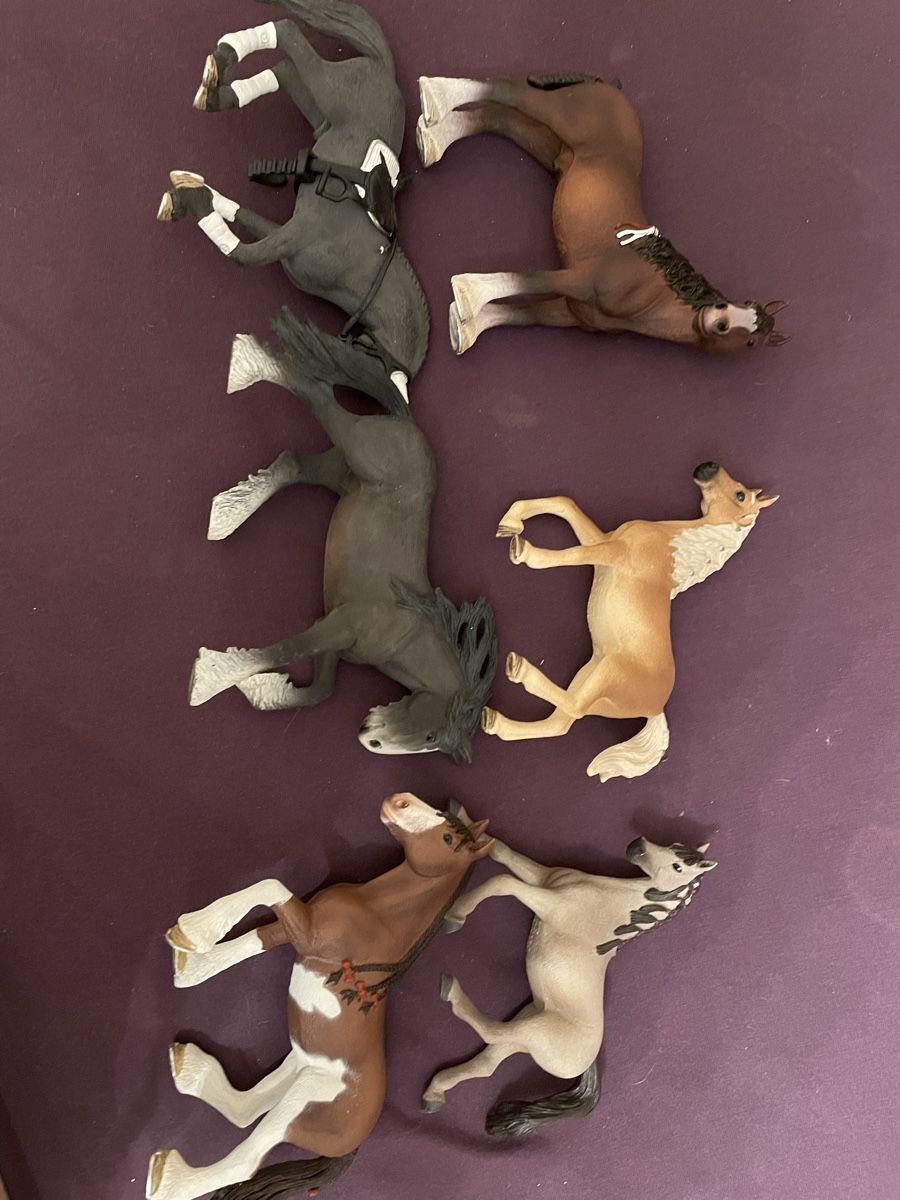 Schleich Spielzeuge: Schleich Pferde (auch einzeln erhältlich) – Neu und originalverpackt aus Andelfingen von Good_Quality 1