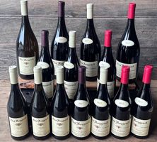 Lot de vins rares - CLOS ROUGEARD 2017 - Btl. et Mag