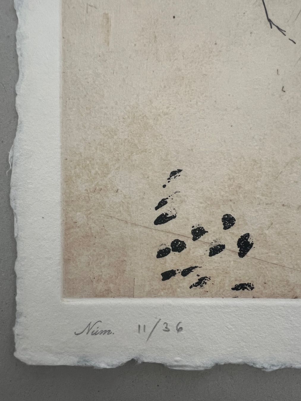 Grafica & Litografie: Josep Riera i Arago, handsigniert und nummeriert – Usato da Rain venduto da Pic-Ass 3