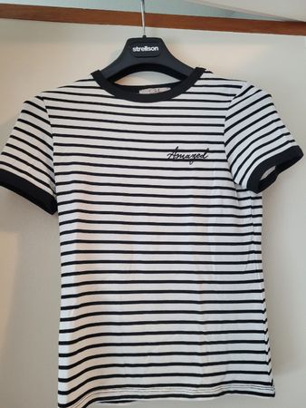 Basic T-Shirt