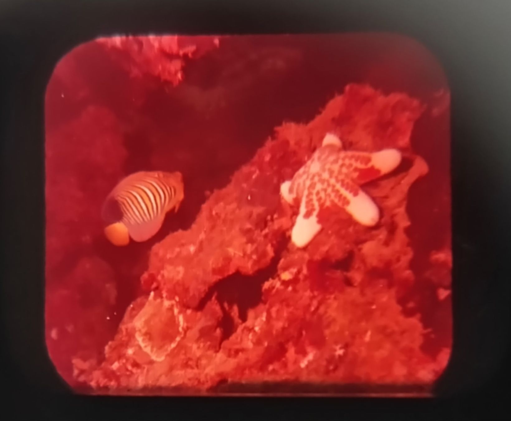 View-master Spielzeuge: View-Master / 6 Bildscheiben / keine Serie / ab Fr. 1.- – Gebraucht aus Bellach von JingleJerry 7
