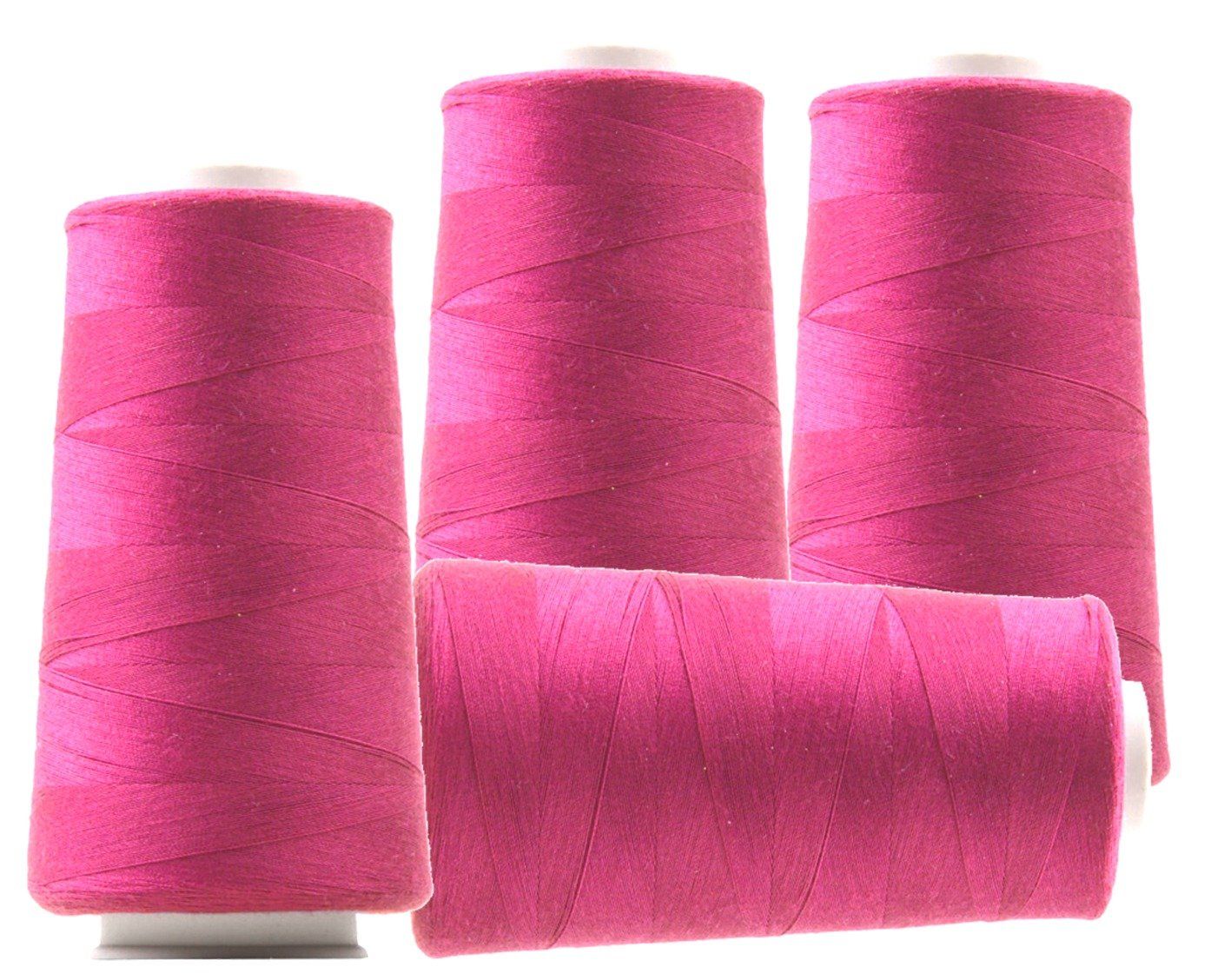 Cordicelle & Fili: Overlockgarn, 3000m, Polyester - himbeer 06 – Nuovo (secondo la descrizione) da Leimbach TG venduto da ziernaht
