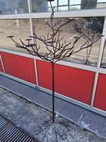 Grosser Kerzenständer, Baum, Metallbaum, Eisenbaum, Ständer