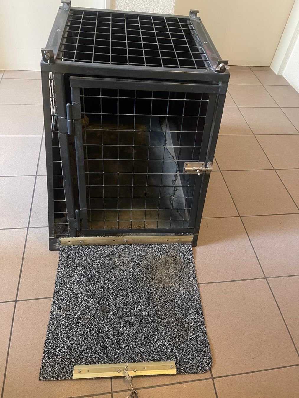 Meiko Gabbie, trasporto & Sicurezza: Stabile Hundebox von MEIKO – Usato da Neuhausen venduto da Lechasseur 1