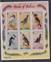 Belize: Block Vögel 1980 / Postfrisch / hoher Katalogpreis