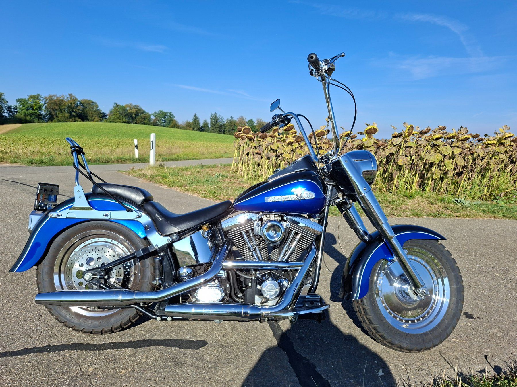 Harley-Davidson Touring: Harley Davidson Fat Boy  1340 Vergaser – Gebraucht aus Volketswil von LuckyandCandy 2