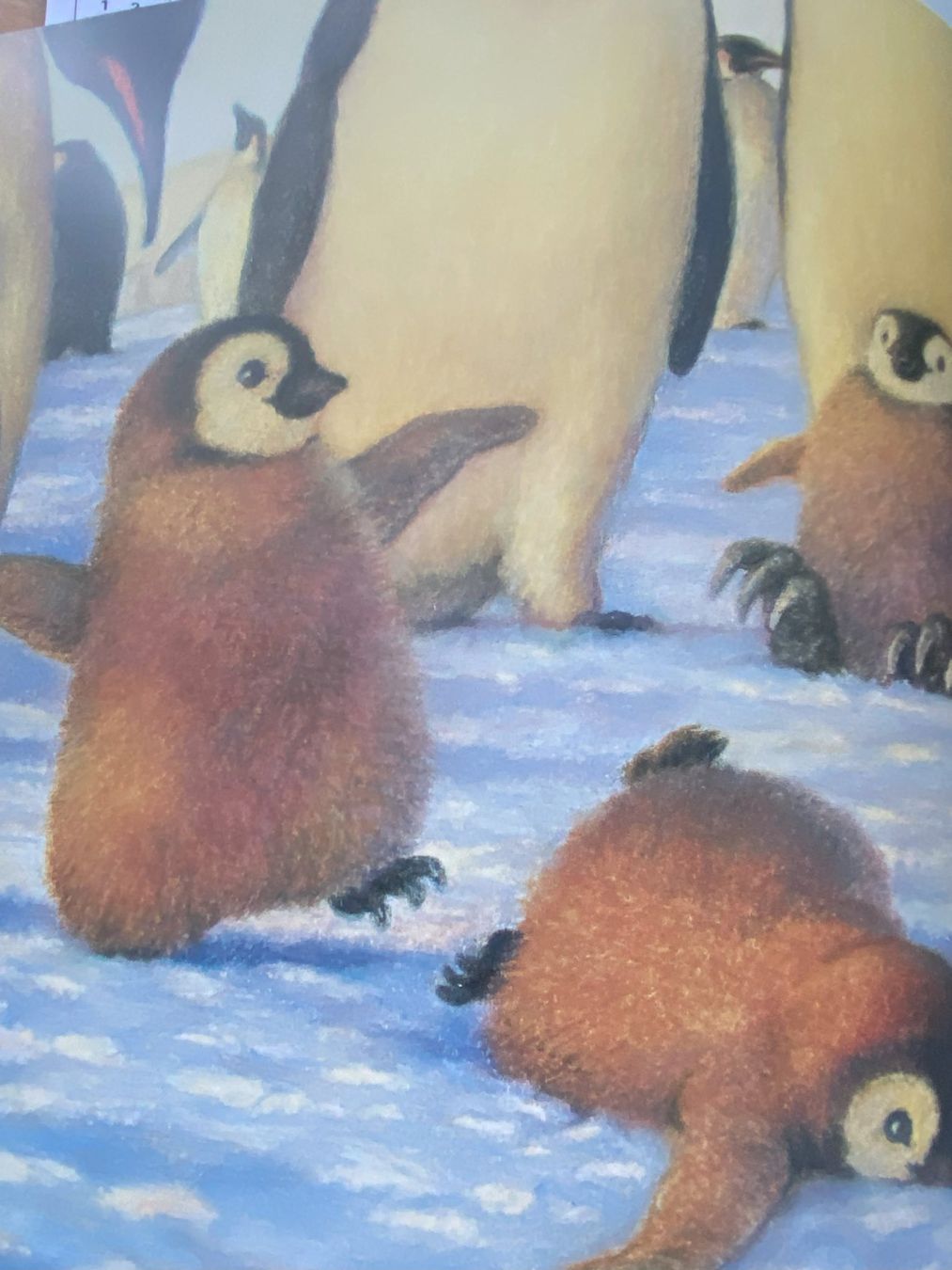 Libri: Otto, der kleine Pinguin – Nuovo (secondo la descrizione) da Sachseln venduto da basti1950 4