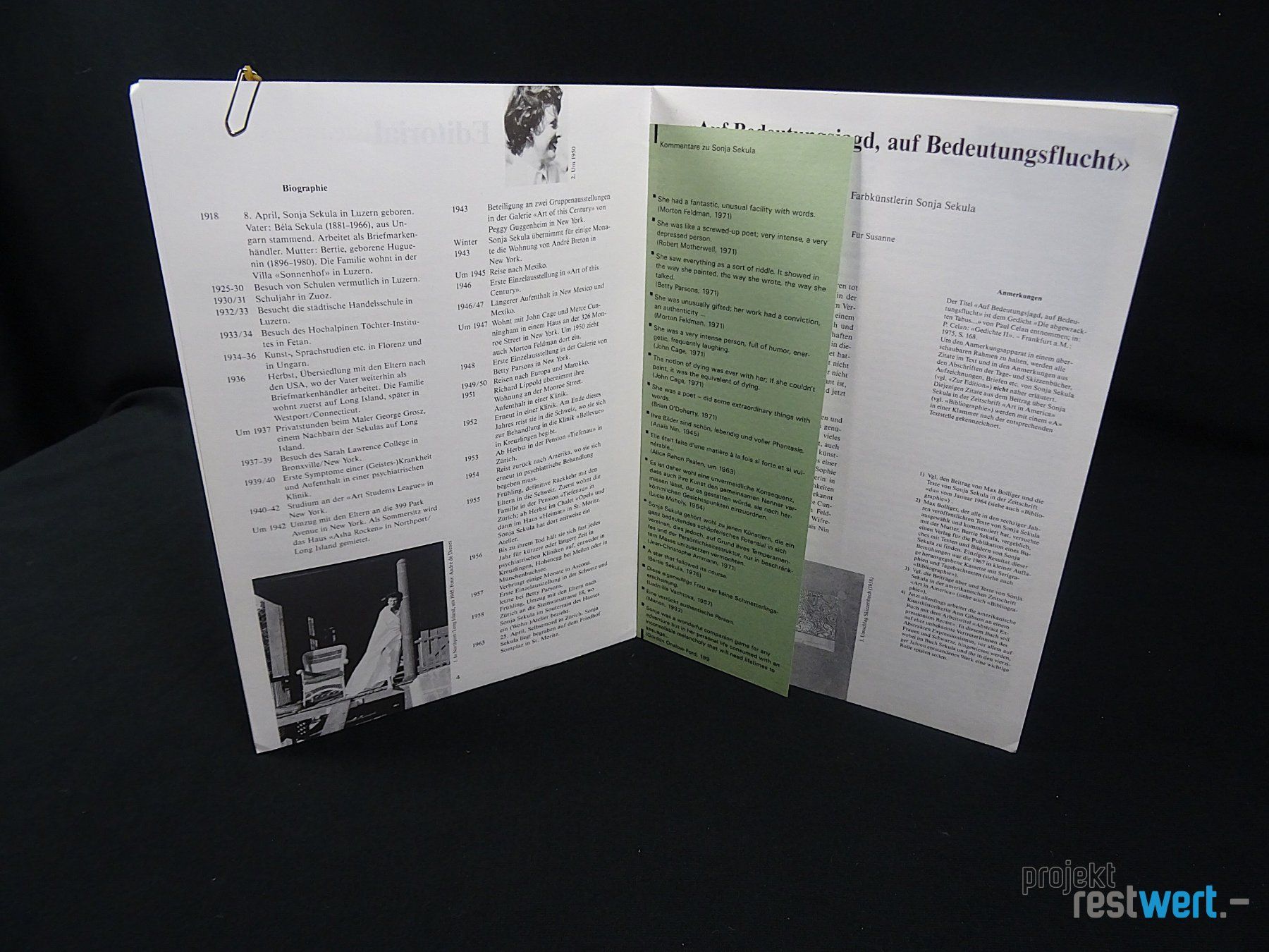 Libri: Die Affenschaukel`Nummer 16, Buch von SONJA SEKULA – Usato da Bülach venduto da restwert_buelach 1