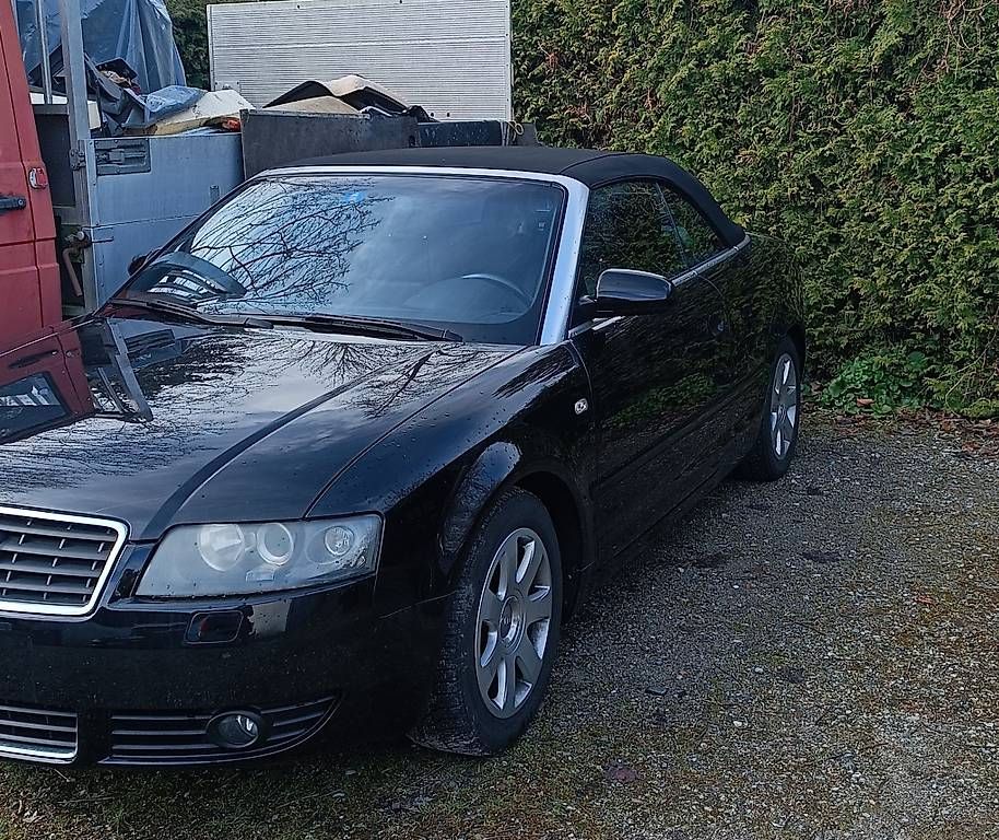 Automobili: Audi A4 Cabriolet – Usato da Roggwil TG venduto da sunbug 1