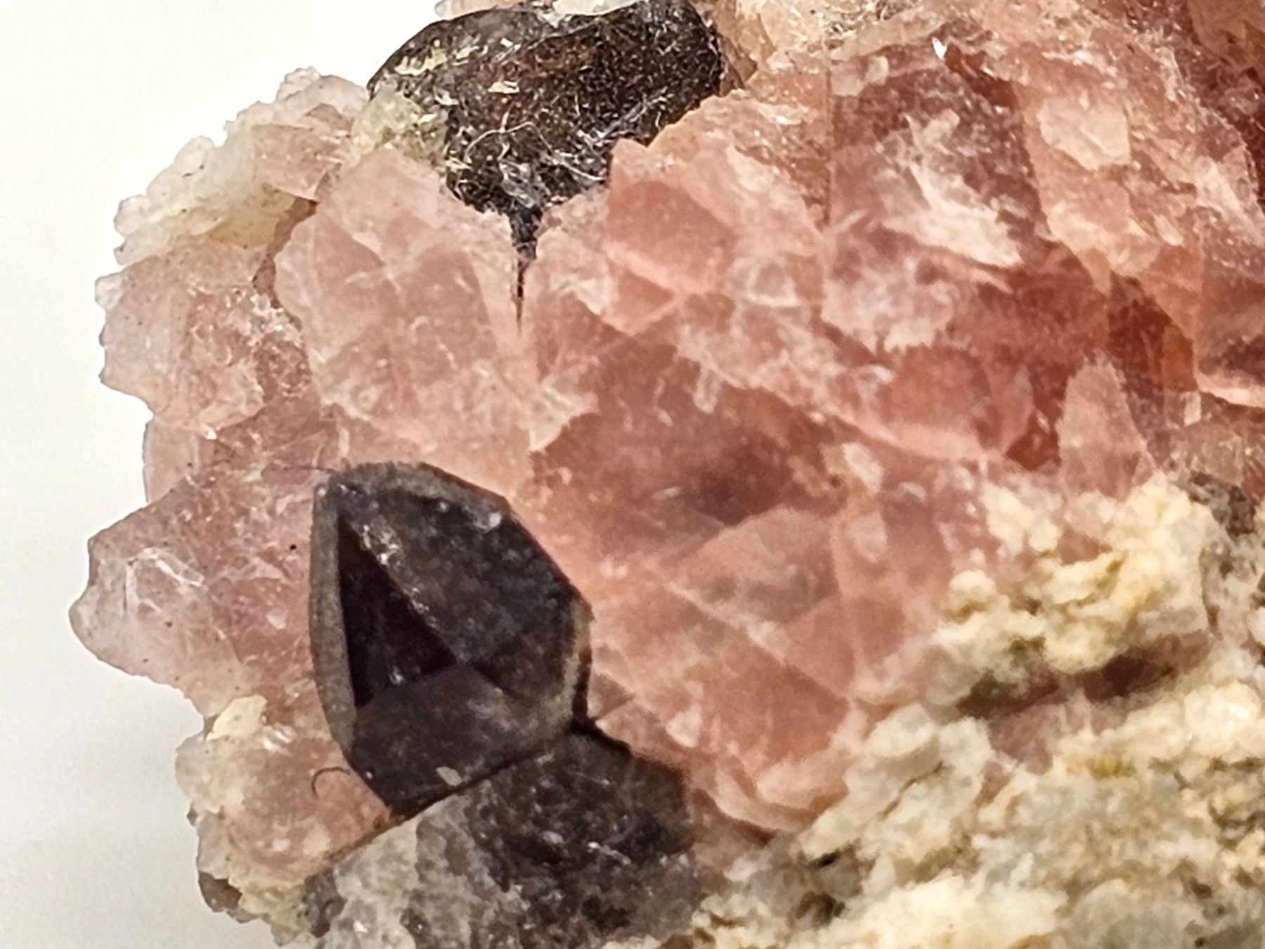 Mineralien & Heilsteine: Rosa Fluorite Winterstock, Goscheneralp, Uri – Gebraucht aus Figino von panshop 1