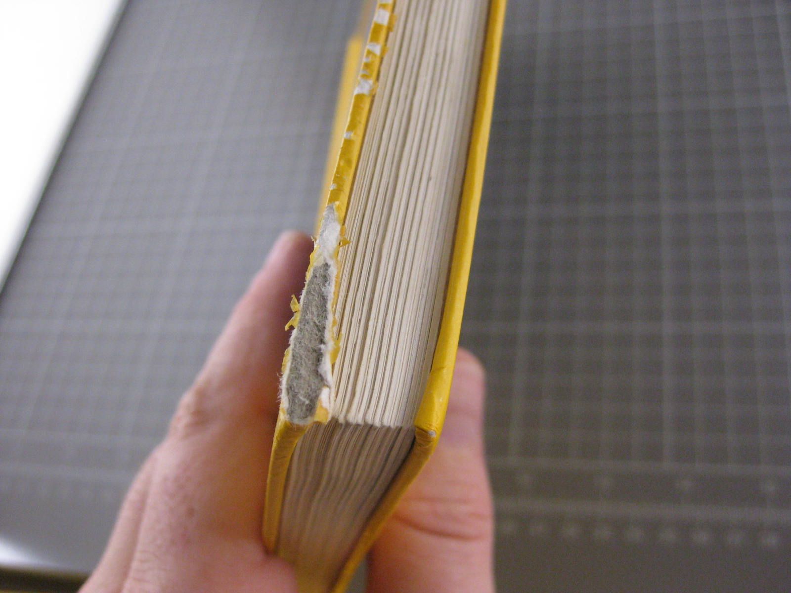 Libri: Der Bau der Rhätischen Bahn – Usato da Malters venduto da Marosko 7
