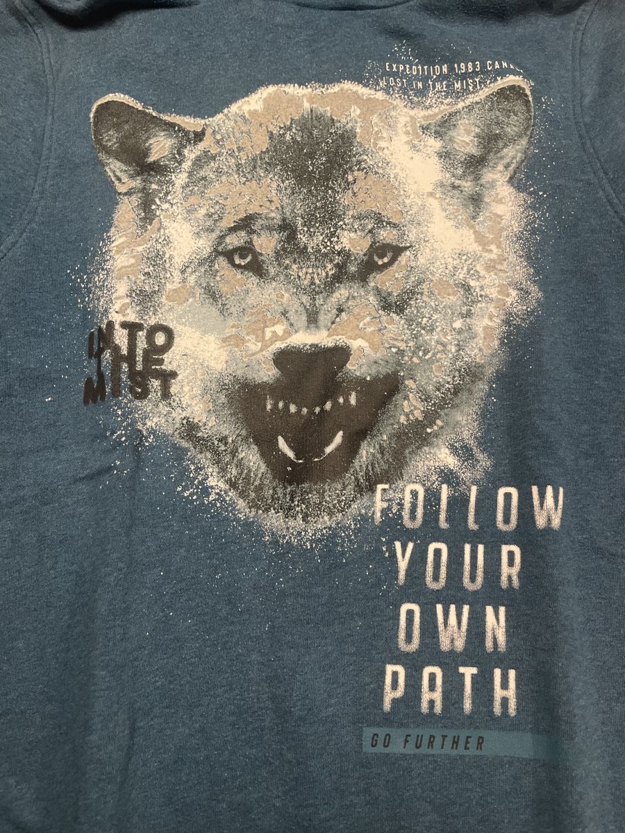 C&A Maglioni & Felpe: Blauer Wolf Hoodie Gr. 146/152 – Usato da Bonstetten venduto da soleillle 1