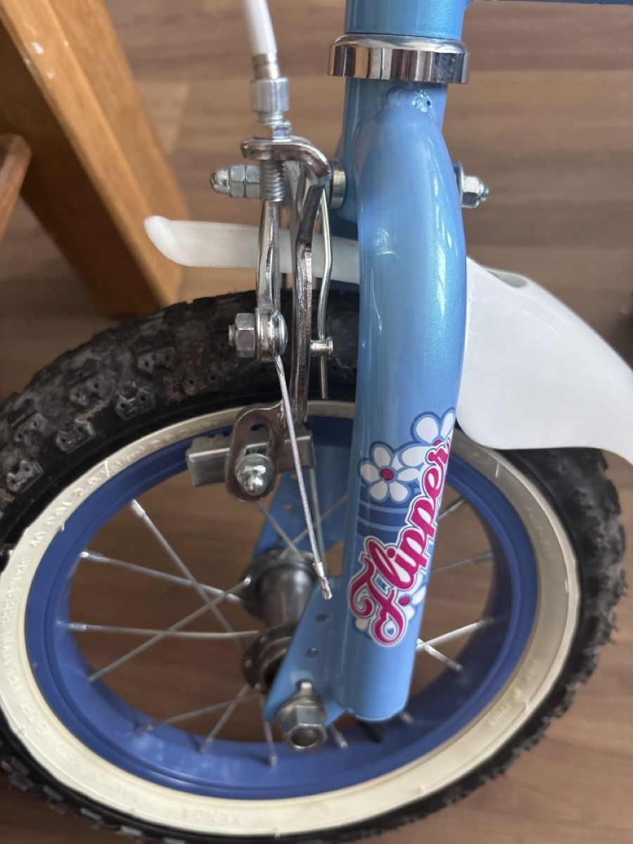 Biciclette: Kinderfahrrad Flipper  – Usato da Ehrendingen venduto da Katy28 5