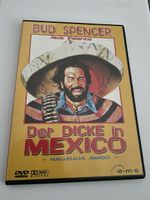 Der Dicke in Mexico