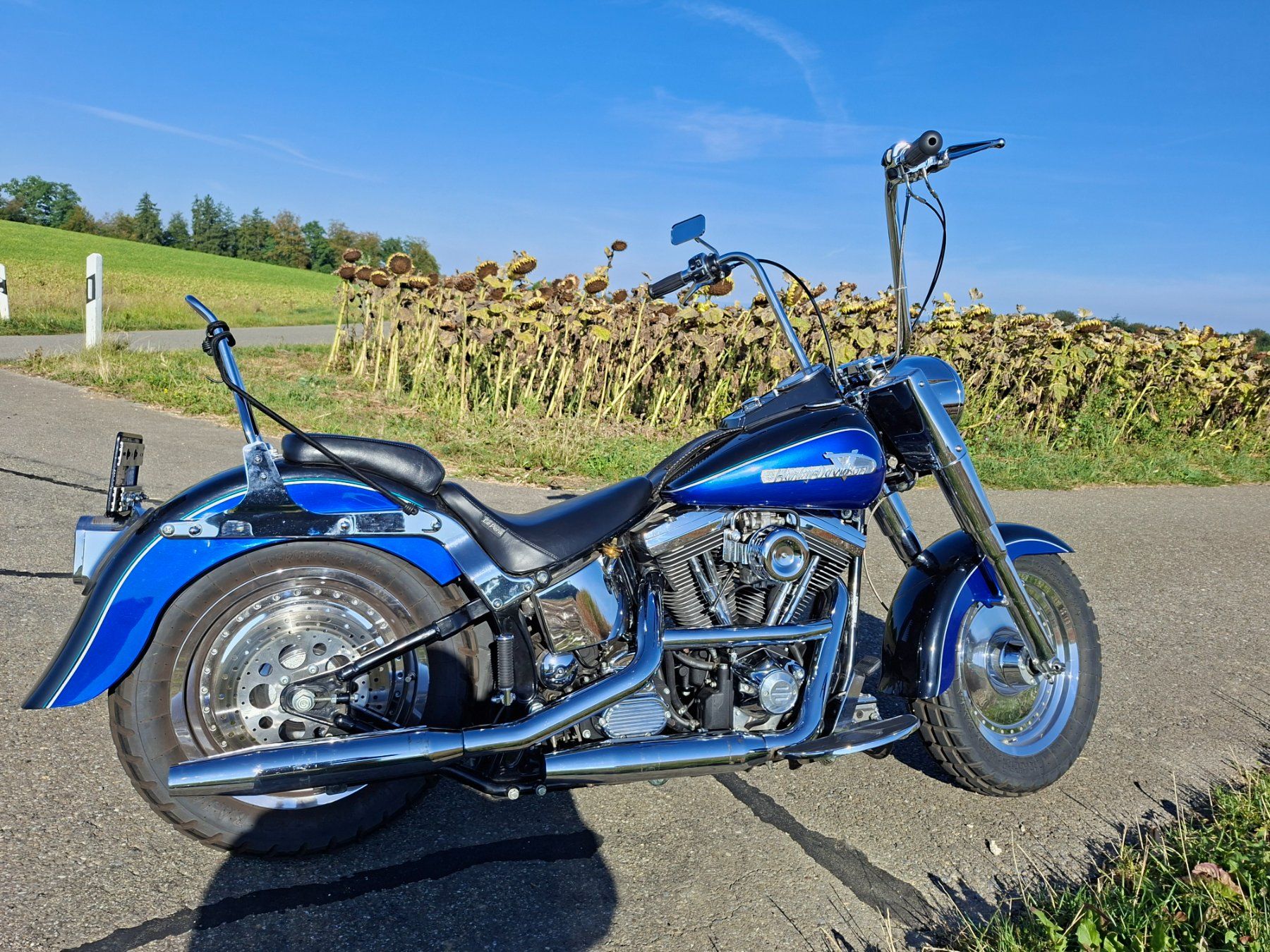 Harley-Davidson Touring: Harley Davidson Fat Boy  1340 Vergaser – Gebraucht aus Volketswil von LuckyandCandy 5