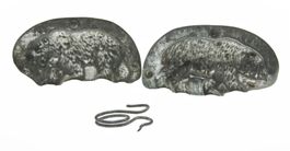 Schokoladenform Braunbär oder Eisbär