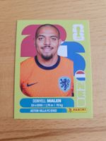 Panini WM 2026 NED 18