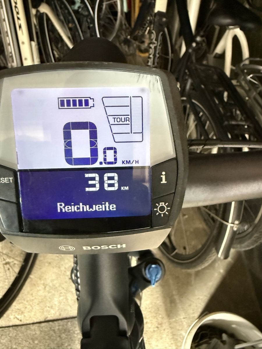 Flyer Biciclette: Flyer Bosch TS-Serie E-Bike 45km/h – Usato da Oberentfelden venduto da lam_vj88 8
