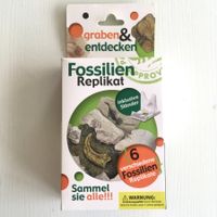 Ausgrabungsset - Fossil - Fisch