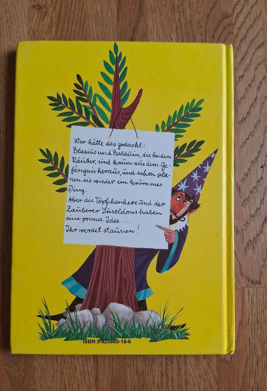 Libri: Die Töpfchenhexe rettet das Geld – Usato da Thun venduto da Rahels81 1