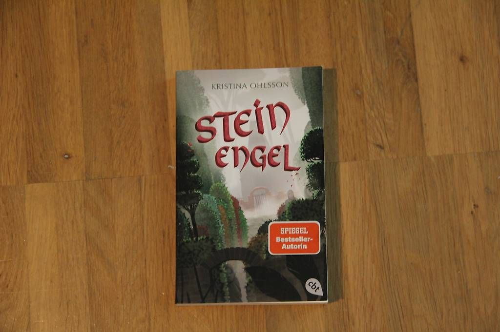 Libri: Steinengel (Jugendbuch) - 3. Band der "Glaskinderreihe" – Usato da Zürich venduto da Mola80