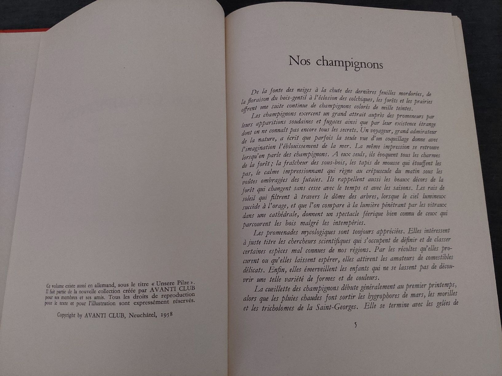 Libri: Nos Champignons – Usato da Yverdon-les-Bains venduto da pri_x6j6 2