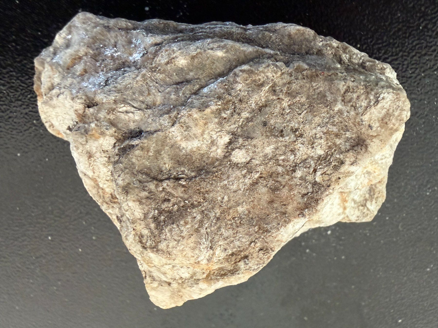 Minerali & Pietre curative: Fibrolit, Namibia (5.15) – Nuovo (secondo la descrizione) da Muri b. Bern venduto da Gemmes 2