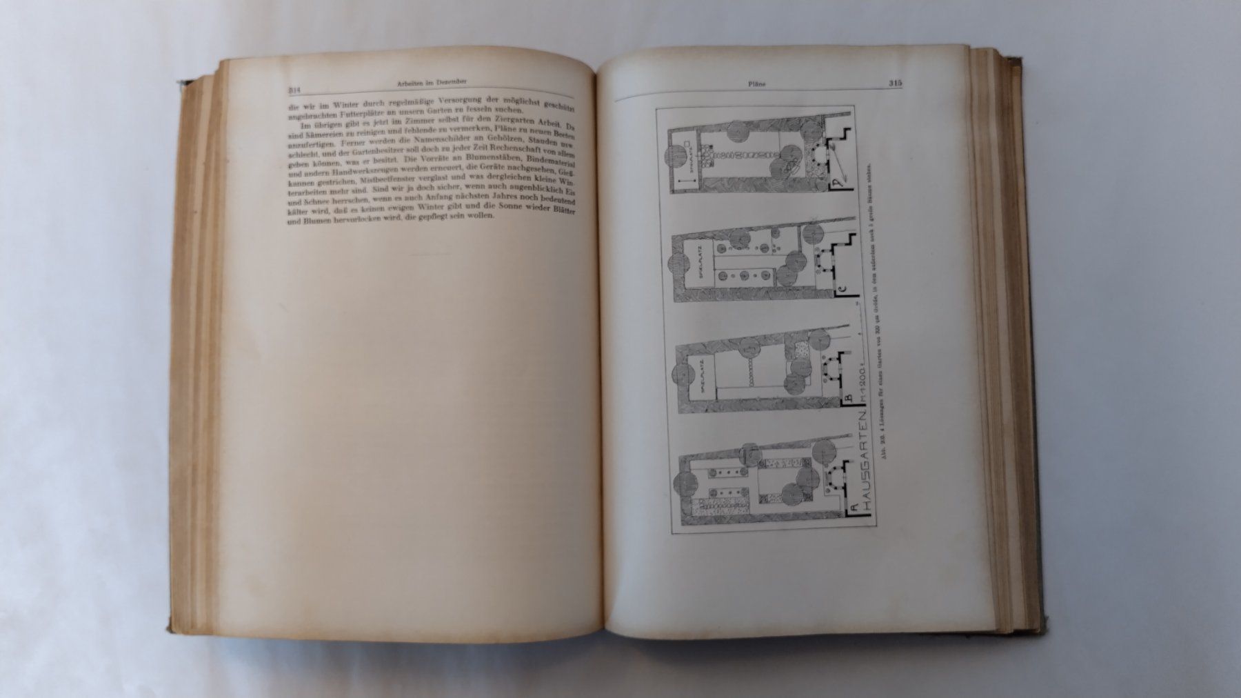 Libri: Allgemeines Gartenbuch 1926 / Gartengestaltung + Topfblumen – Usato da Bellach venduto da JingleJerry 6