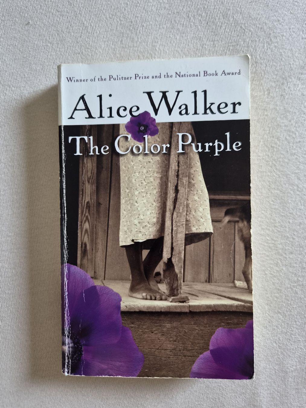 Libri: Alice Walker - The Color Purple – Usato da Uznach venduto da rir_k7xb