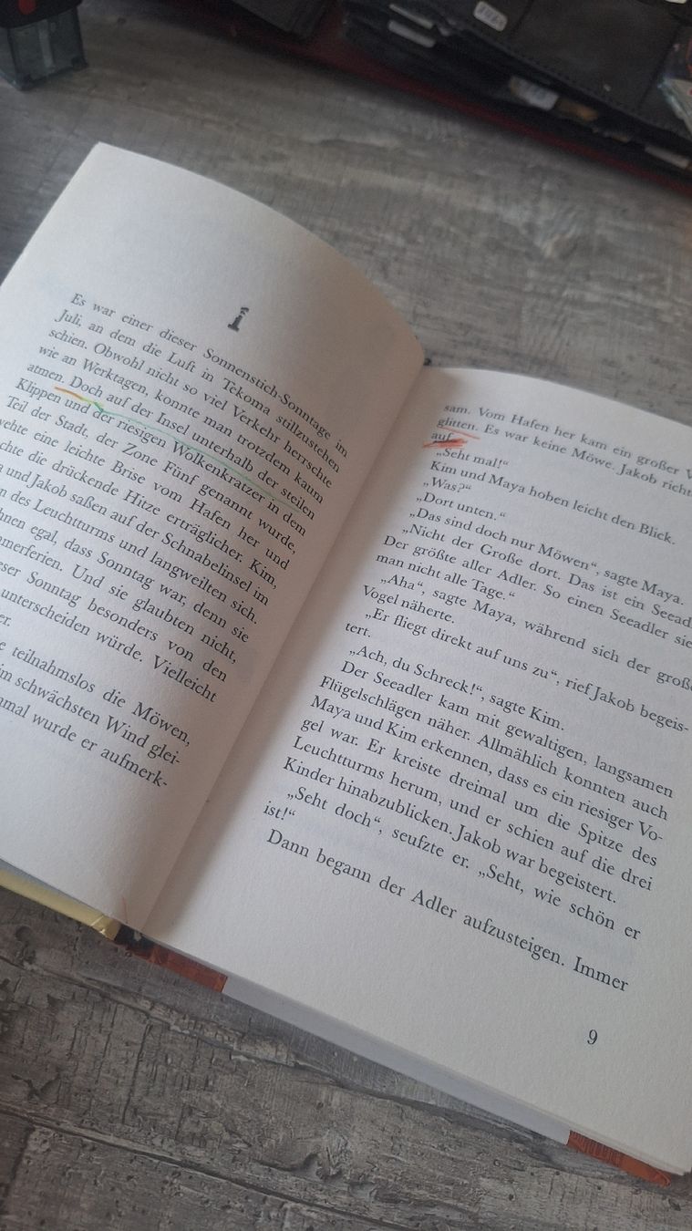 Libri: Die Abenteuer- Kids – Usato da Wanzwil venduto da chlinih93 1